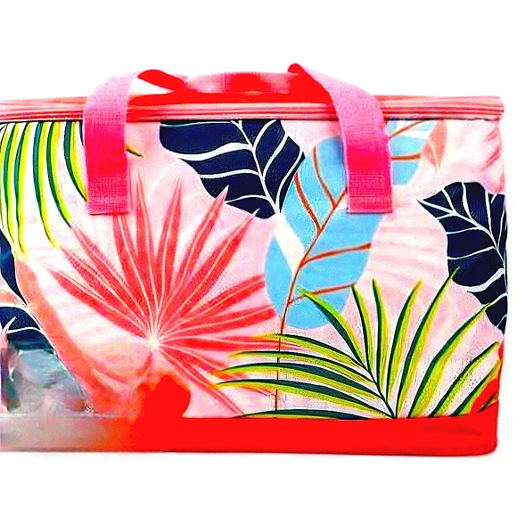 Cooler Tote Bag ✨️NWT ✨️ - Picture 1 of 1